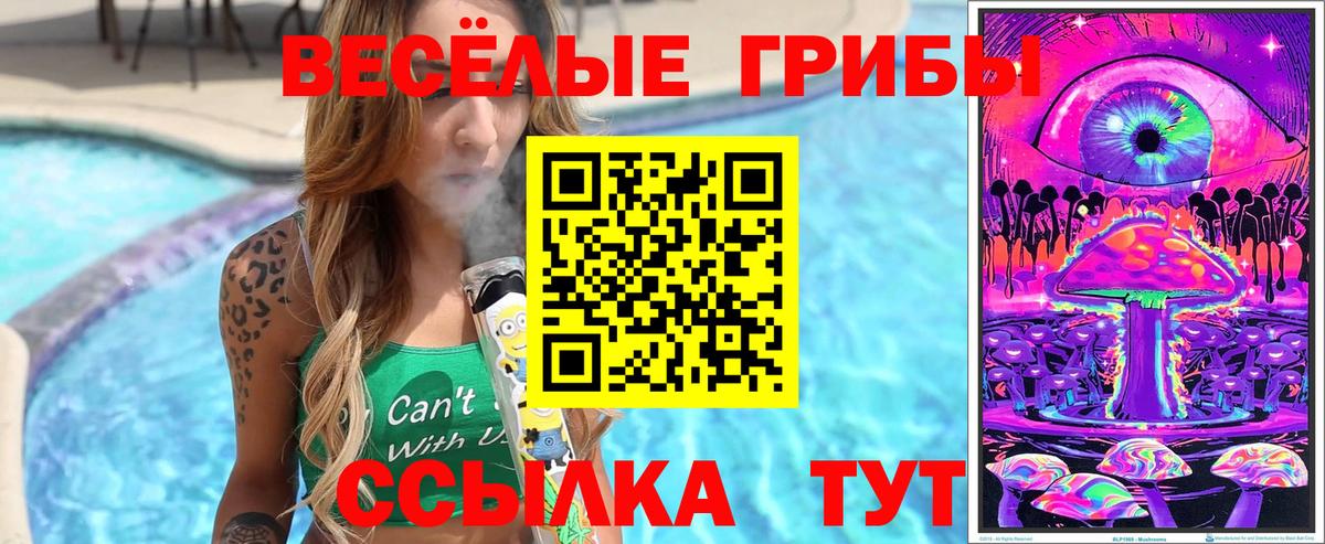 Псилоцибиновые грибы GOLDEN TEACHER Озёры