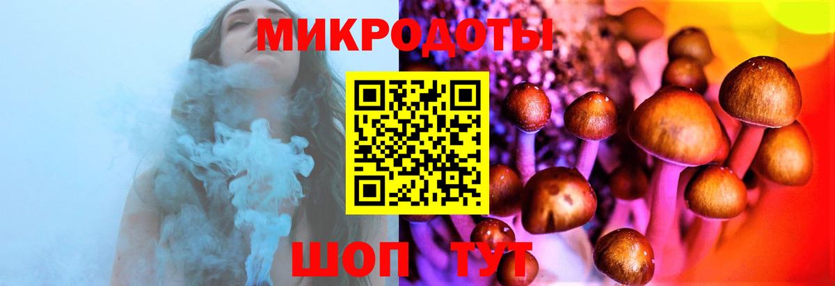 Псилоцибиновые грибы MAGIC MUSHROOMS  Вход с VPN  Озёры 